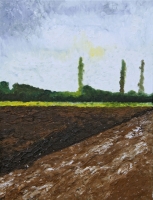 Westfälische Landschaften