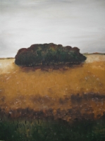 Westfälische Landschaften